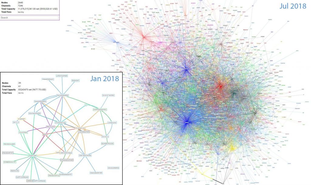 Lightning network nodes